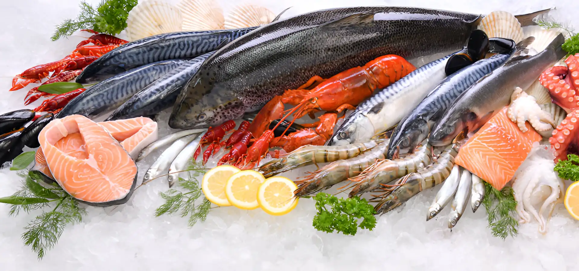 Poissonnerie Plouhinec