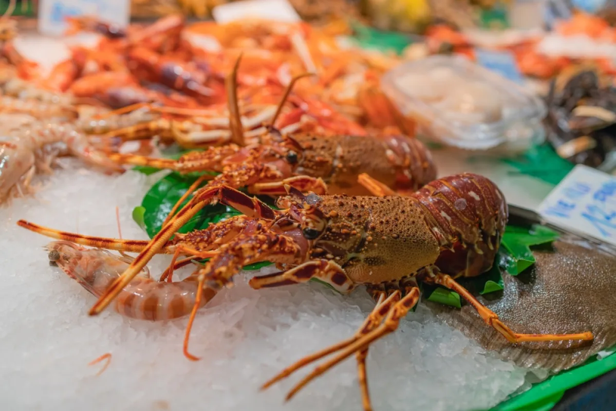 Les Viviers Du Pradic Poissonnerie Etel Realisation 2