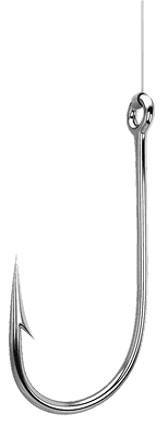 Les Viviers Du Pradic Poissonnerie Etel Des Poissons Et Crustaces Sont Soigneusement Selectionnes Pour Leur Fraicheur 1 1